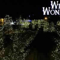 Winter Wonderland